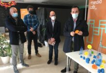 Trampa selectiva para la avispa asiática mediante impresión 3D