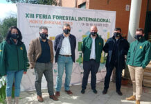 Asturforesta 2021 recupera el Campeonato de Motoserristas