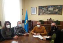 El Principado refuerza la lucha biológica contra la avispilla del castaño