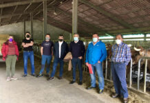 El Principado defiende un plan sectorial específico para la ganadería de la cornisa en la PAC