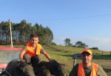 Tradición y futuro de la actividad cinegética