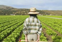 Asignados los nuevos derechos de la Reserva Nacional de Pago Básico solicitados en 2020