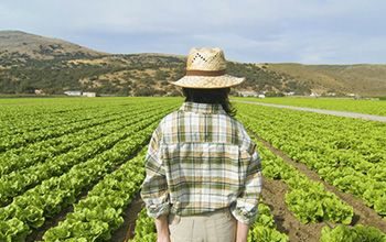 Asignados los nuevos derechos de la Reserva Nacional de Pago Básico solicitados en 2020