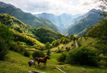 El 72% de los turistas rurales ya prefiere reservar online