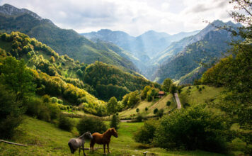 El 72% de los turistas rurales ya prefiere reservar online
