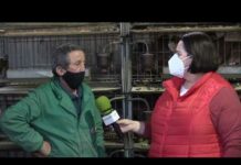 Entrevista a José María Álvarez Queipo (Chema) de Suroccidente Agrícola