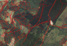 Planes de gestión contra el abandono y la identificación de propiedad forestal