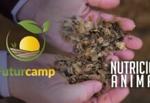 Futurcamp, una empresa con visión de futuro