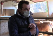 Entrevista a Rubén Fernández, candidato independiente sector ganadero a elecciones IGP Ternera Asturiana