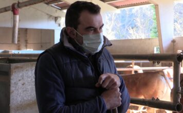 Entrevista a Rubén Fernández, candidato independiente sector ganadero a elecciones IGP Ternera Asturiana