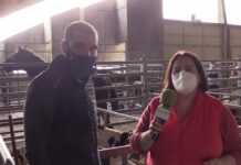 Entrevista a Adrián Lagar, presidente de ACGEMA