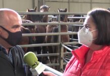 Entrevista a Miguel Ángel Barberena de Ganados Barberena (Navarra)