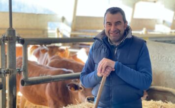 IGP Ternera Asturiana: mucho recorrido y mucho por recorrer