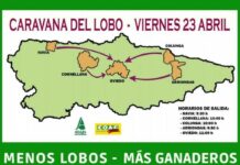 Caravana de COAG y ASAJA este viernes bajo el lema «menos lobos, más ganaderos»