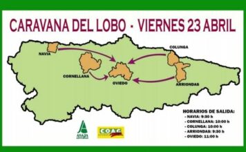 Caravana de COAG y ASAJA este viernes bajo el lema «menos lobos, más ganaderos»