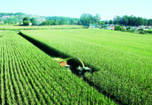 Syngenta Semillas, una explosión de innovación