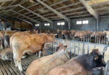 La orden de módulos IRPF 2020 recoge reducciones para agricultores y ganaderos