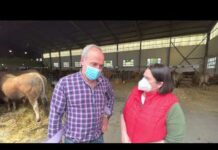 Entrevista a José Lorences, ‘Pepe el de Cueva’, concejal de Ganadería de Salas