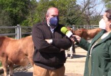 Entrevista a Ángel Rodríguez Castañón, secretario ejecutivo de ASEAMO