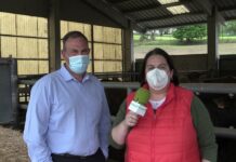 Entrevista a Gerardo Noval, responsable del Centro de Testaje de ASEAVA