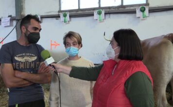 Entrevista a Quique y Azahara de Ganadería Carla Martina de Salas