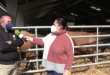 Entrevista a Ángel Rodríguez Castañón, secretario ejecutivo de ASEAMO