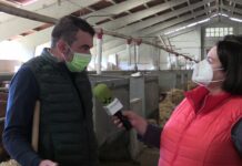 Entrevista a Rubén Fernández, presidente de IGP Ternera Asturiana