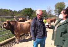 Entrevista a José Antonio Rodríguez, presidente de ASEAMO