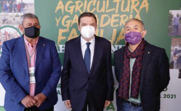 Planas anunció la elaboración de un decreto para regular el tamaño de las granjas de vacuno