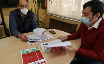 La Feria de Ganado de San Isidro de Llanera, solo para profesionales