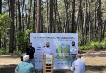 Asturforesta’21 recupera el Open de Motoserristas