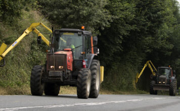 Asturias inicia la campaña anual de desbroce de carreteras