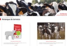 Nuevos piensos de arranque y servicios de Nanta para la recepción de terneros mamones