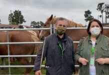 Entrevista a José Cobrana