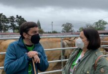 Entrevista a Gerardo Sanz, alcalde de Llanera