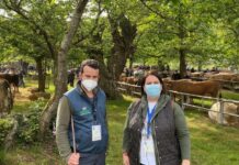 Entrevista a Gonzalo Suero, concejal de Ganadería de Cangas de Onís