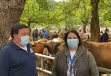 Entrevista a Armando Gutiérrez Cantora, secretario de ASEAMO