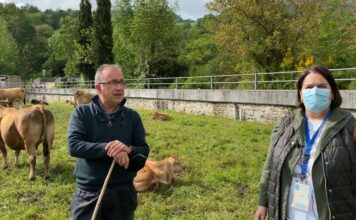 Entrevista a Toño Garcia, regidor de pastos de la Montaña de Covadonga