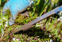 La instituciones comunitarias pretenden convertir a los agricultores profesionales en los jardineros de Europa