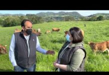 Eliseo López, director técnico de la Feria de San Isidro de Llanera