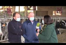 Entrevista a Pedro y Adán Fernández de Ganadería Marcelo Sebrán (Tineo)