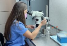 Embriones FIV de bajo coste, opción terapéutica a la falta de fertilidad bovina