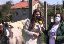 Entrevista a Montse Morán, abogada