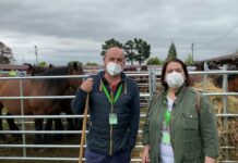 Entrevista a Jose Herminio Fernández, ganadero