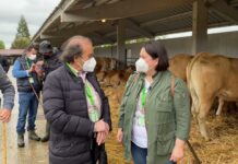 Entrevista a Jose Antonio Díaz Carbajosa, ganadero