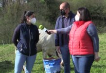 Entrevista a Silvia Freije de De Heus y Borja Lorences de Almacenes Ladislao