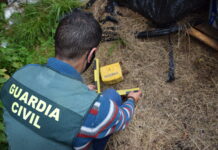 Equipo Roca, la unidad especializada en resolver los robos perpetrados en el campo