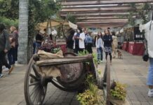 Balance “muy positivo” de Narcenatur