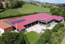 Los paneles solares, energía renovable que disminuye el consumo eléctrico en las ganaderías