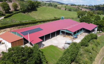 Los paneles solares, energía renovable que disminuye el consumo eléctrico en las ganaderías